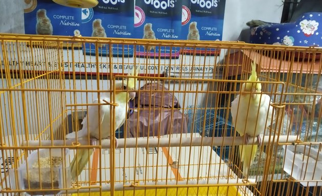 Photo of Animal Gurukul Pet Shop