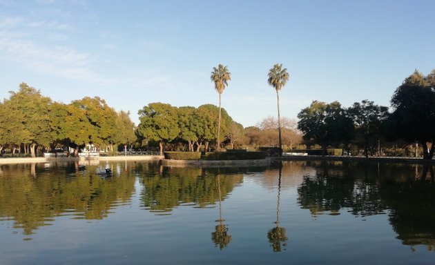 Foto de Lago del parque Amate