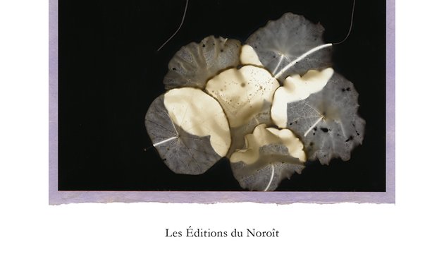Photo of Editions Du Noroit