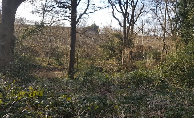 Photo of Coulsdon Coppice