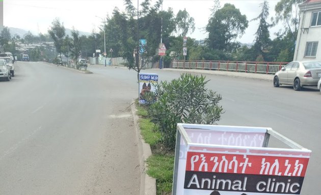 Photo of Ethio Animal Clinic