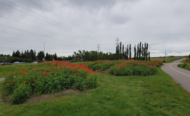 Photo of Petronas Memorial Garden