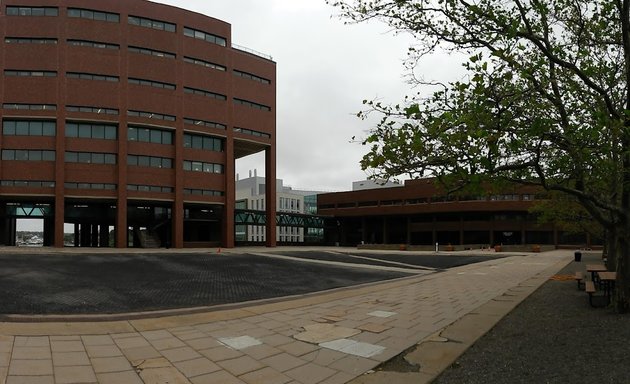 Photo of Healey Library