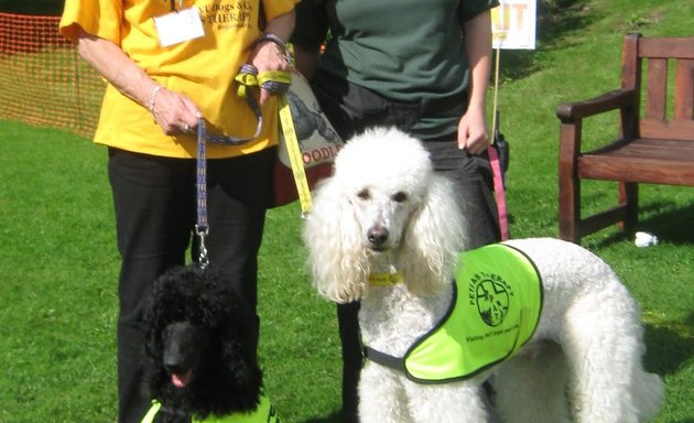 Photo of Liverpool Dog Training