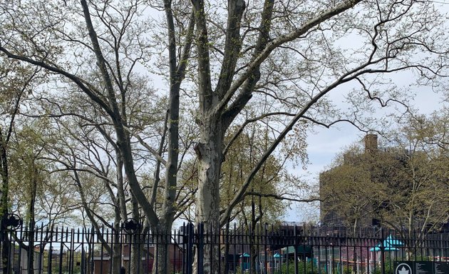 Photo of Bushwick Playground