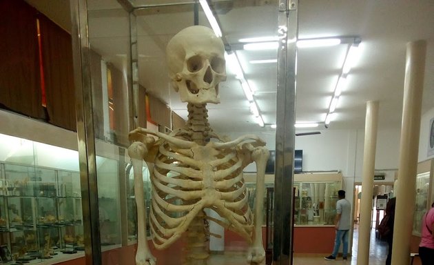 Foto de Museo Anatómico "Pedro Ara" | F.C.M.