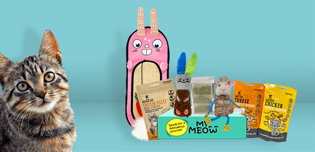 Photo of mymeow.co.uk