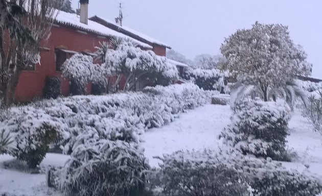 foto Ass. Il Giardino di Provvidenza ONLUS