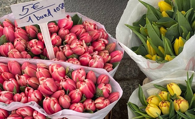 Foto von Blumen Nguyen Marzahn-Hellersdorf