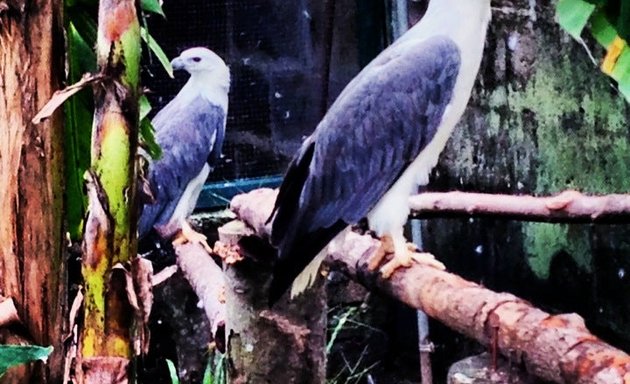 Photo of Penang Bird Park