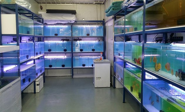 Photo of Aquarium Seberang Jaya