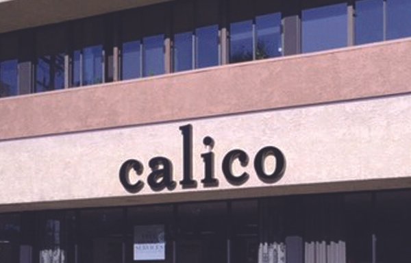 Photo of Calico