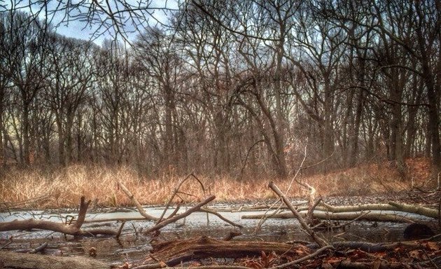 Photo of Oakland Lake