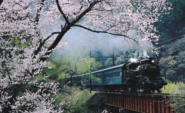 Photo of No.1 Japan Travel