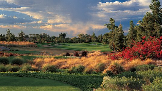 Photo of True Spec Golf - Phoenix