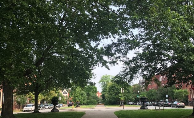 Photo of Park Avenue Median Park