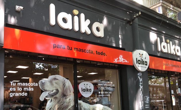 Foto de Laika | Cordón