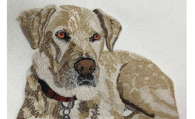 Photo of Embroidery Digitizing