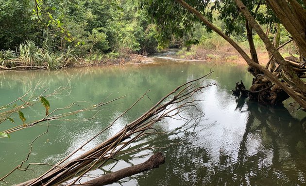 Photo of Kālinga Centre for Rainforest Ecology