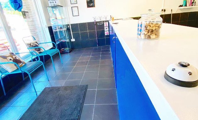 Photo of K8's Short Bark 'N' Sides Dog Grooming and Doggy Deli