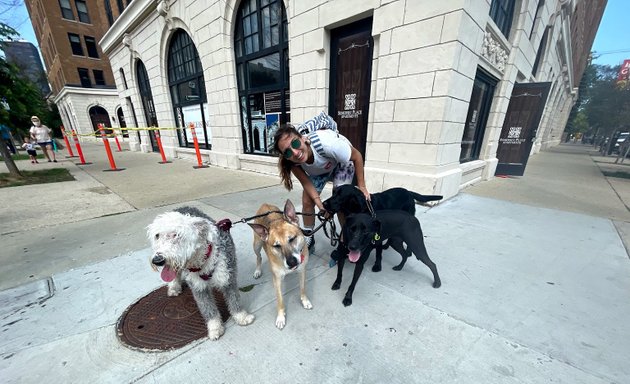 Photo of Paws For Walks Chicago