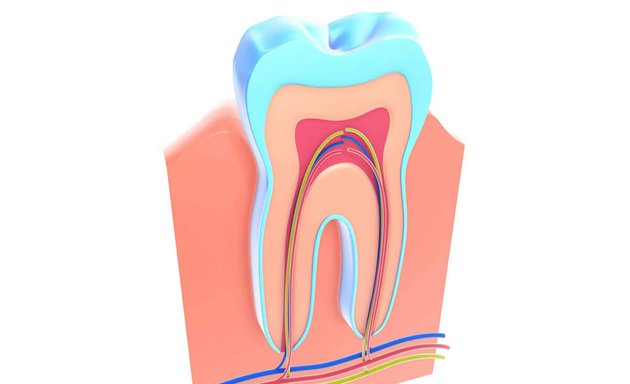 Photo of Art of Dentistry