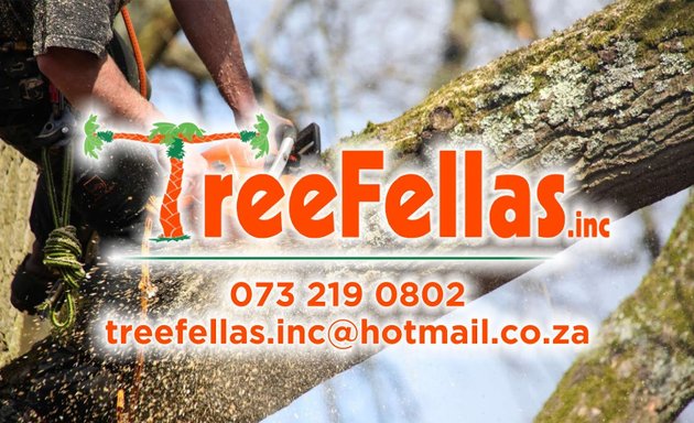 Photo of TreeFellas.inc