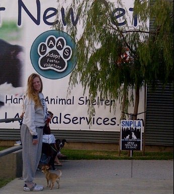 Photo of Harbor Animal Care Center