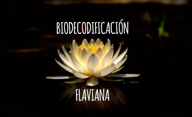 Foto de Biodecodificacion Flaviana