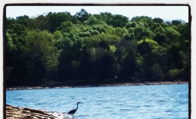 Photo of Percy Priest Lake