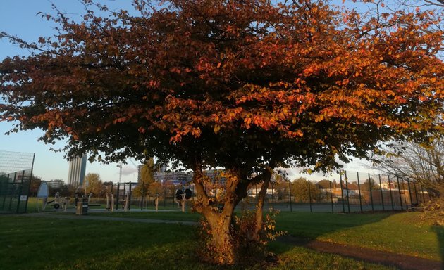 Photo of Playground