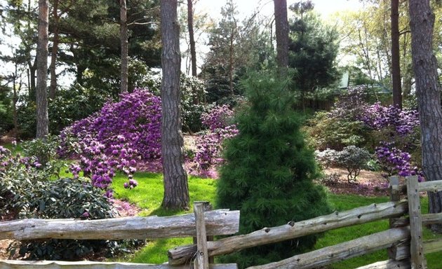 Photo of Brueckner Rhododendron Gardens