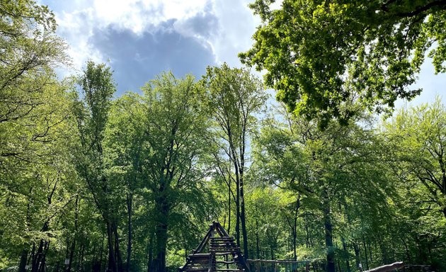 Foto von Waldspielplatz Plänterwald