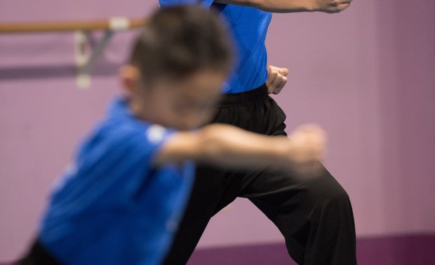 Photo of Wayland Li Martial Arts Centre 李文启武术学院
