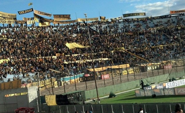 Foto de Tribuna Olimpica