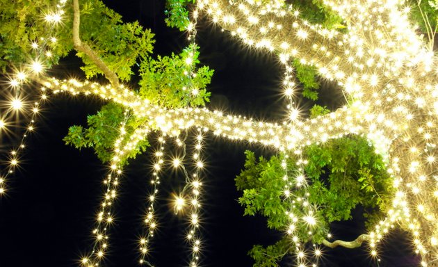 Photo of Ignite Christmas Lighting