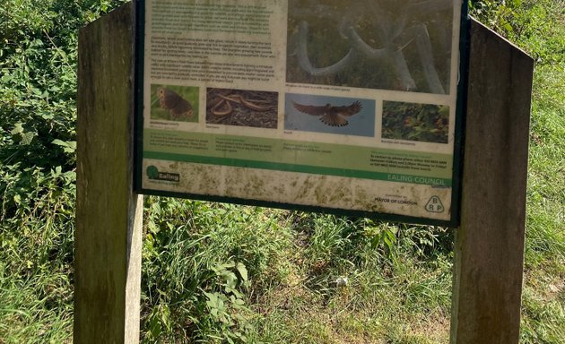 Photo of Bittern's Field