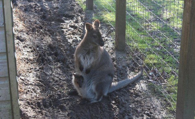 Photo of Askham Bryan Wildlife & Conservation Park