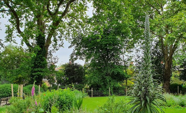 Photo of Thornhill Road Garden