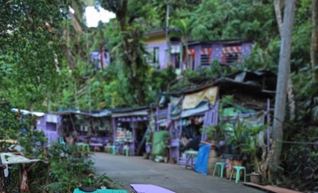 Photo of Shee Violet Coffee House