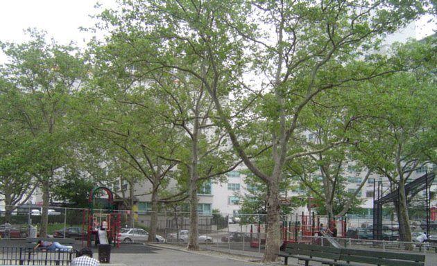 Photo of Marx Brothers Playground