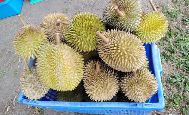 Photo of Durian Hooi 38吉祥