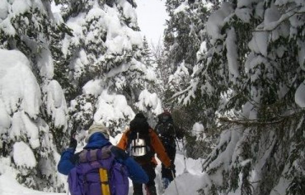 Photo of The Alpine Ski Club