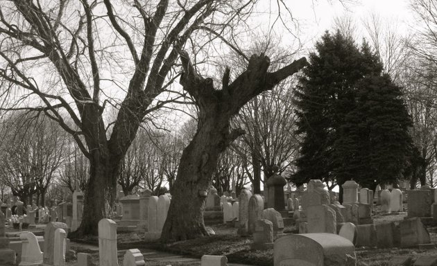 Photo of Adath Jeshurun Cemetery