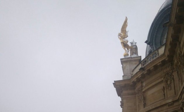 Photo de Café Le Jardin du Petit Palais