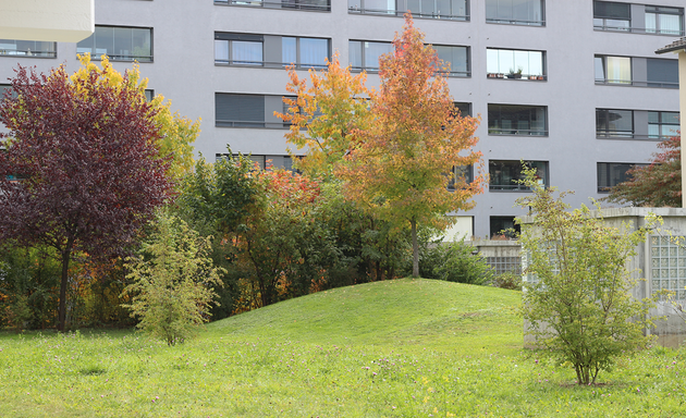 Foto von Albiez de Tomasi GmbH, Architekten und Landschaftsarchitekten