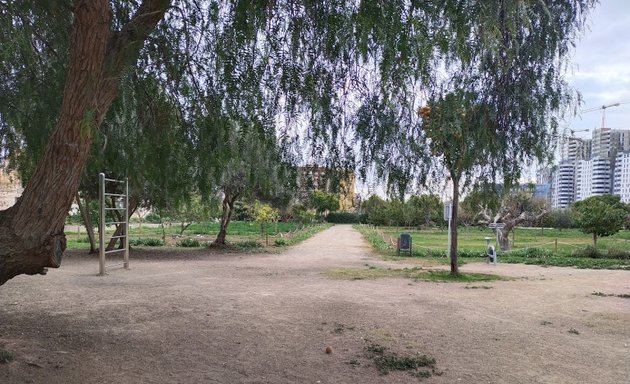 Foto de Parque Urbano de Malilla