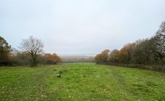 Photo of Horsenden Hill