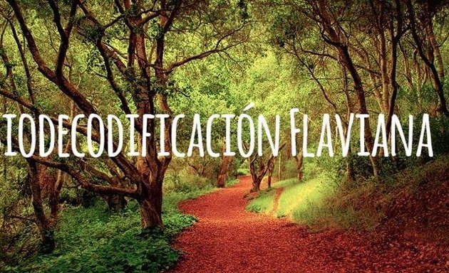 Foto de Biodecodificacion Flaviana