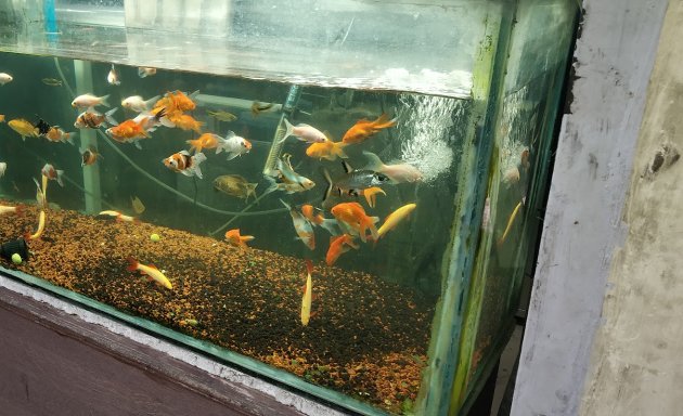 Photo of Vasavi Aquarium